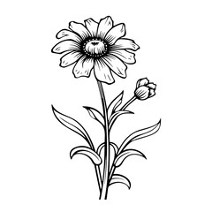 line drawing, line art png, line art prints, spring clipart, line art rose, rose clipart, floral svg, flower png, wildflower svg, flower clipart, bouquet svg, tattoo svg, line art, svg files, svg file