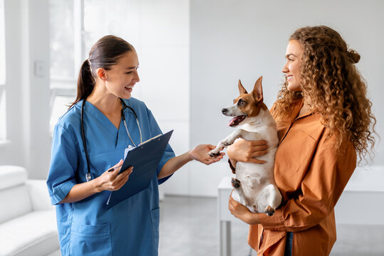Dog with female owner at vet consultation