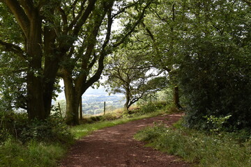 a walk through the clent hills