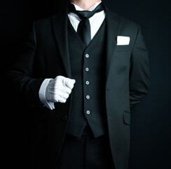 Portrait of Elegant Butler in Dark Formal Suit and White Gloves Standing at Attention. Service Industry and Professional Hospitality.