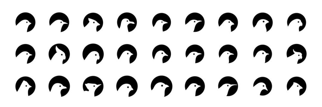kind of animals birds flat modern minimal icon set collection sign symbol logo design vector illustration