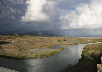 temporale in arrivo nella riserva naturale della diaccia botrona a castiglione della pescaia