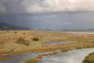 temporale in arrivo nella riserva naturale della diaccia botrona a castiglione della pescaia