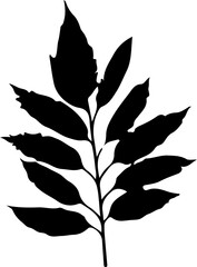 Sketch autumn leaves