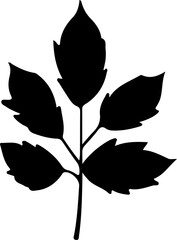 Sketch autumn leaves