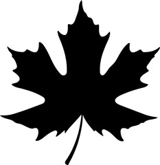 Sketch autumn leaves