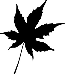 Sketch autumn leaves