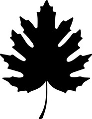 Obraz premium Sketch autumn leaves