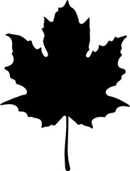 Sketch autumn leaves