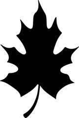 Sketch autumn leaves