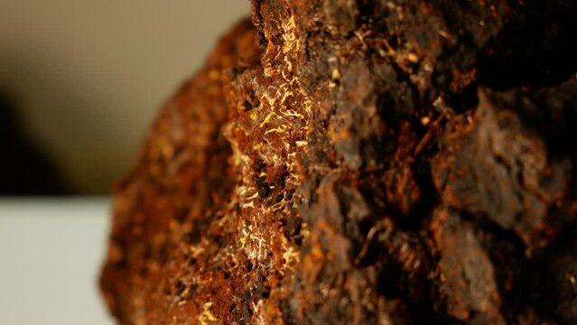 Smooth rotation of Inonotus obliquus (chaga mushroom) on pure white. Scientific wonder for body research &mdash; anti-cancer, immune enhancement, tea substitute. Folk medicine showcased with raw chaga