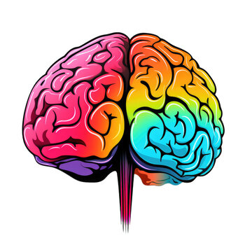 human brain . Clipart PNG image . Transparent background . Cartoon vector style . Generative AI 