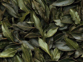 Dry Bay Leaves Pattern, Laurel Leaf Texture, Natural Spicy Bayleaf Background, Fragrant Ingredient - obrazy, fototapety, plakaty