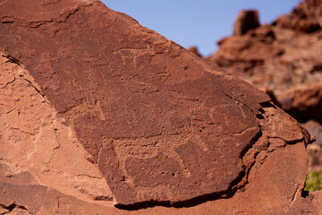 Series of petroglyphs depicting a zebra and different African antelopes on red sandstone in the...