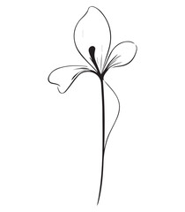 line art flower drawing,wall art,print ready editable flower vector,eps