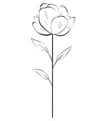 Line drawing flower silhouette,flower vector illustration,print ready,eps