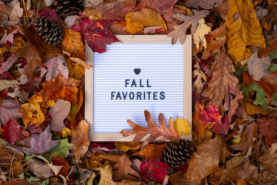 Fall Favorites Letter Message Board Promotional Message In Frame Pile of Colorful Autumn Leaves with Heart