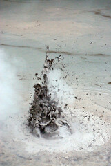 Close up shot of thick boiling mud pool, Wai-O-Tapu Thermal Wonderland, Rotorua, New Zealand