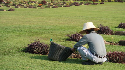 Various Photos From Thailand Travels