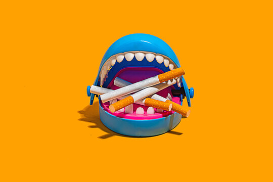 Shark toy with cigarette butts