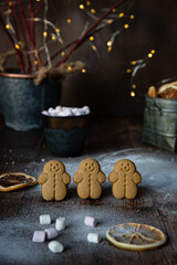 Gingerbread cookies with a cup of hot chocolate on dark background 