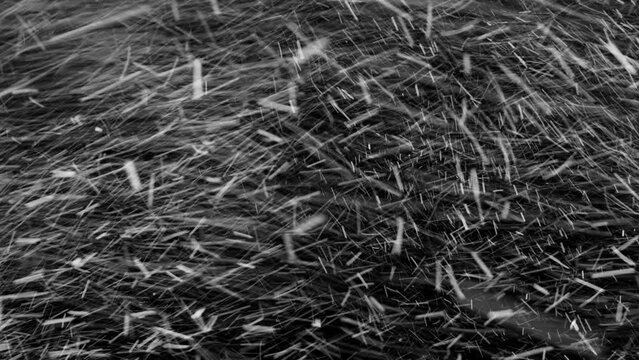 Real snow on black background, strong wind, storm, blizzard isolated black background