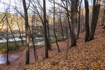 Park Bolimowski in Mazovia, Poland in autumn sunny day
