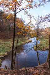 Rawka River in Park Bolimowski in Mazovia, Poland in autumn sunny day