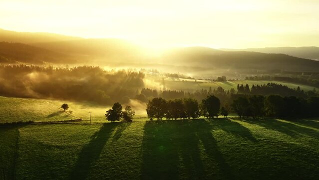 Early fog between hills and in forest is lit up by the sun in mountains. Drone flies towards trees from afar.