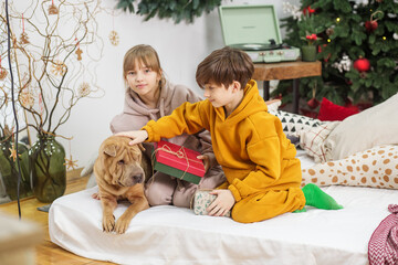 Happy children with dog sitting in christmas decorated room. Merry Christmas and Happy Holidays.