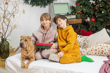 Happy children with dog sitting in christmas decorated room. Merry Christmas and Happy Holidays.