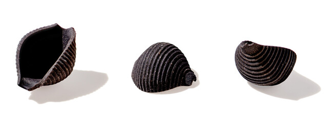 Black pasta conchiglie noodle isolated on white, close up
