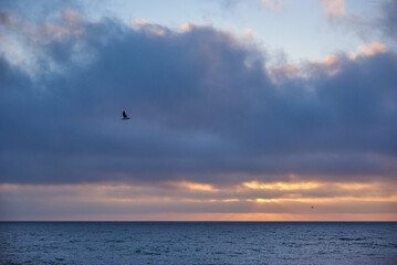 Black sea in Ukraine