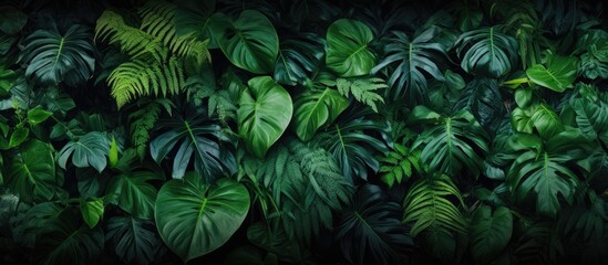 Fototapeta na wymiar The lush green background of the tropical forest creates a mesmerizing pattern of textured leaves and vibrant colors evoking the essence of summer and nature in a dreamy spring garden