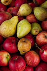 Background of ripe red apples and yellow pears.