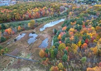 marsh with lake (aerial view in autumn with fall foliage) binghamton university nature preserve...