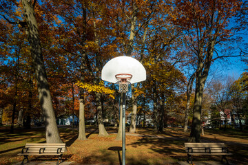 basketball hoop net and backboard on post  outdoor basketball court in kew gardens toronto public park with fall colors on trees in background   © Michael Connor Photo