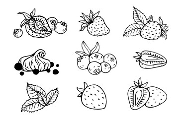 Sketch, doodles of strawberries, blueberries, pieces of fruit, mint leaves. Vector graphics.