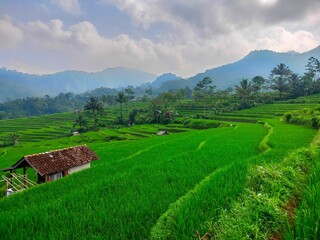 Beautiful view of small houses on a hill with fresh grass and trees