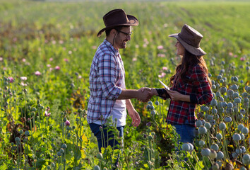 Farmers shaking hands in poppy field - obrazy, fototapety, plakaty