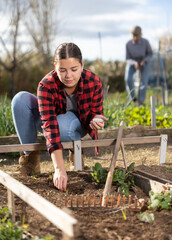 Young girl farmer in plaid shirt squatting on heaps and planting various seeds during season on...