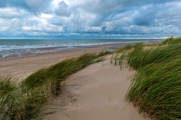 Fototapeta na wymiar Sand dunes and North Sea beach with rainy dramatic sky, West Flanders, Belgium.