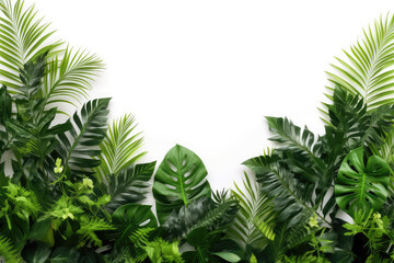 Fototapeta na wymiar Green tropical leaves frame on white background. Summer concept. Generative AI.