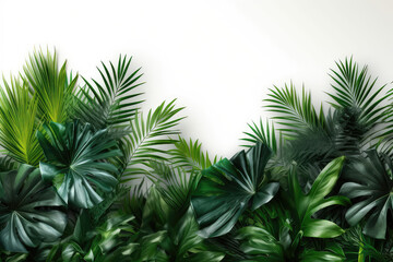 Fototapeta na wymiar Green tropical leaves frame on white background. Summer concept. Generative AI.
