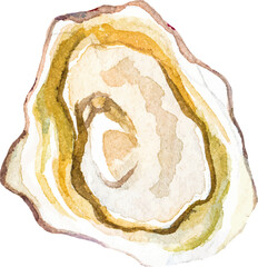 Watercolor painted oysters. Hand drawn fresh seafood design element isolated on white background.