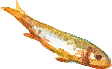 Watercolor painted roasted fish Hand drawn fresh seafood design element isolated on white background