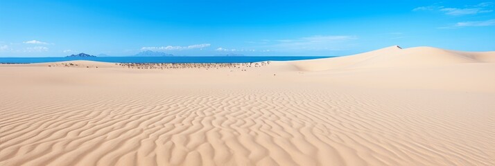 Fototapeta na wymiar Mesmerizing beach sand glistening and shimmering in the warm embrace of the summer sun