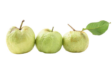 Guava fruit, Tropical fruit
