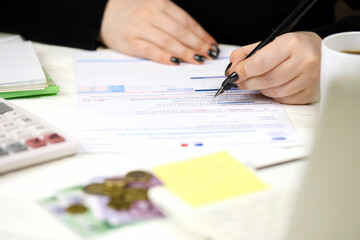 Accountant fill french tax form CA12 Value added tax and similar taxes in end of tax period....