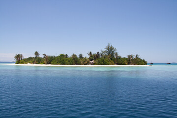 idyllic palm tree island and the ocean